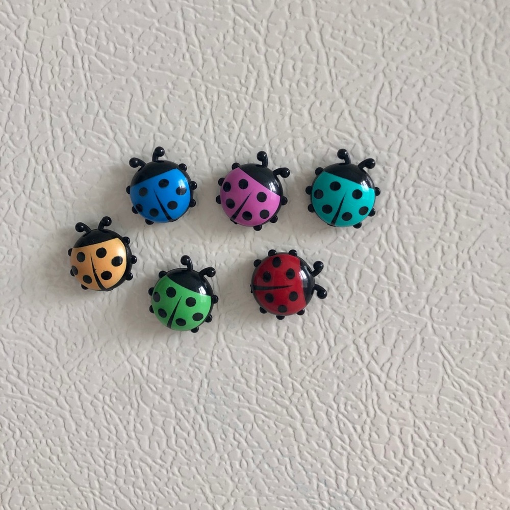 Strong Ladybug Magnets